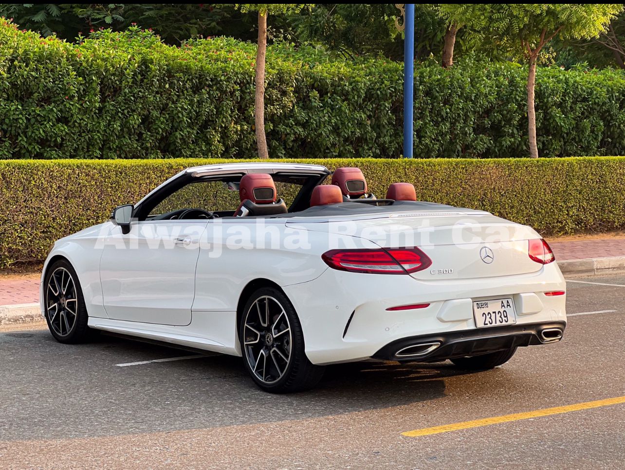 Mercedes Benz C 300 Convertible 